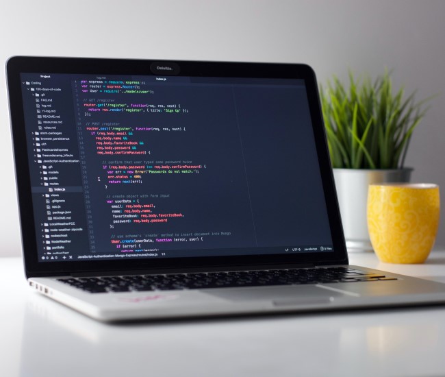 先行技術の確認が困難であること