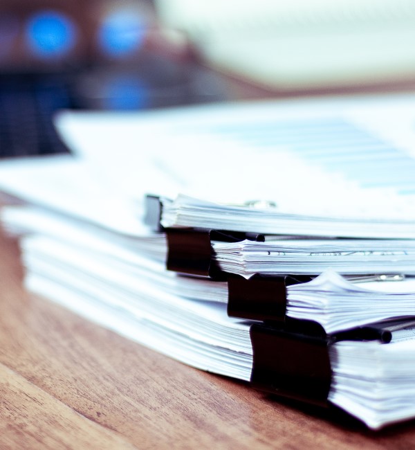 主要国の早期審査制度の特徴