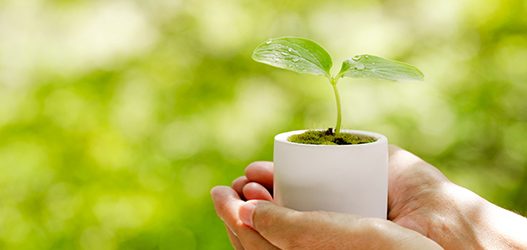 所員からのメッセージ