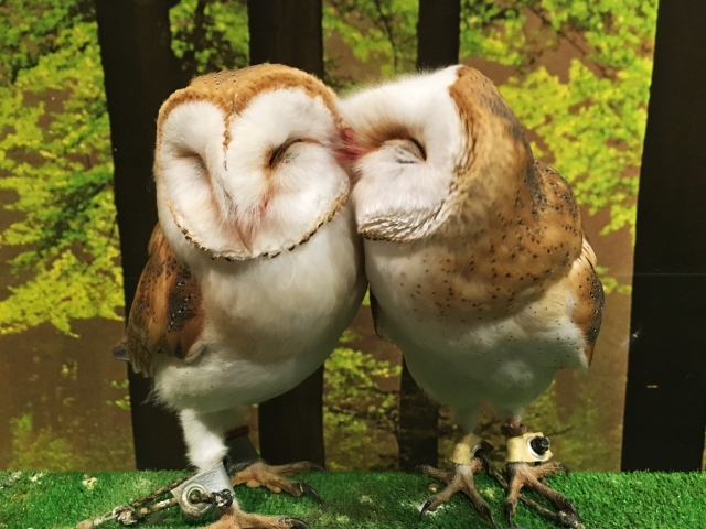 【坂本NEWS】明けましておめでとうございます。